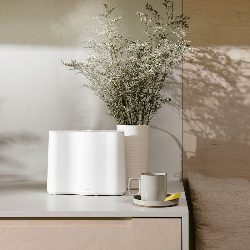 The Cloud Humidifier by Vitruvi