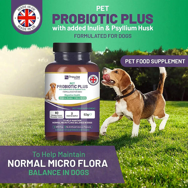 Combo Deal - Dog Joints ? and Gut Health? - Dog Joint Supplement + Pet Probiotic Plus I Made in the UK