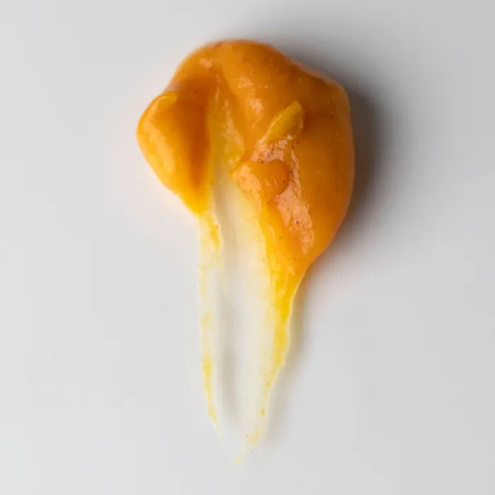 Organic Pumpkin Enzyme Facial Mask | Professional Grade