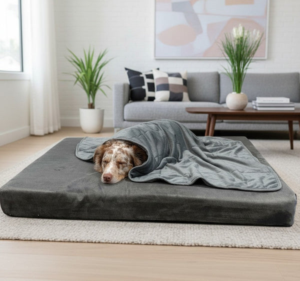 Soothe Anti-Anxiety Weighted Dog Blanket