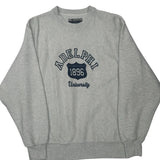 Adelphi University Champion College Sweatshirt - Small Grey Cotton Blend
