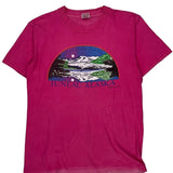 Mendenhall Glacier Fruit Of The Loom Graphic T-Shirt - Medium Pink Cotton