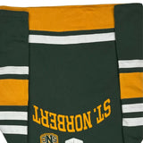 St. Norbert Champion Striped Hoodie - Medium Green Cotton
