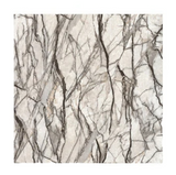 Anyhouz 10pcs White Vinyl Wall Tiles –Branch Stain Marble Design, Waterproof