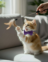 Anypet Large Violet Bow Cat Collar with Safety Buckle, Bell & Durable Adjustable Strap – Stylish Comfortable Pet Accessory for Cats