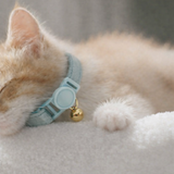Anypet Stylish Green Bow Cat Collar Large Size with Safety Buckle Bell Durable Adjustable Strap Cute Fashion Pet Accessory for Cats & Kittens