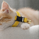Anypet Large Mustard Yellow Cat Collar with Safety Buckle, Bell & Durable Adjustable Strap – Stylish Comfortable Pet Accessory for Cats