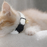 Anypet Large Pure White Cat Collar with Safety Buckle, Bell & Durable Adjustable Strap – Stylish Comfortable Pet Accessory for Cats