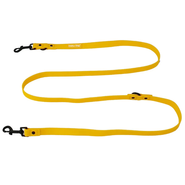 Dog Leash - Yellow