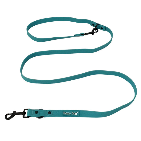 z Dazy Dog Dog Leash Teal Small-Medium