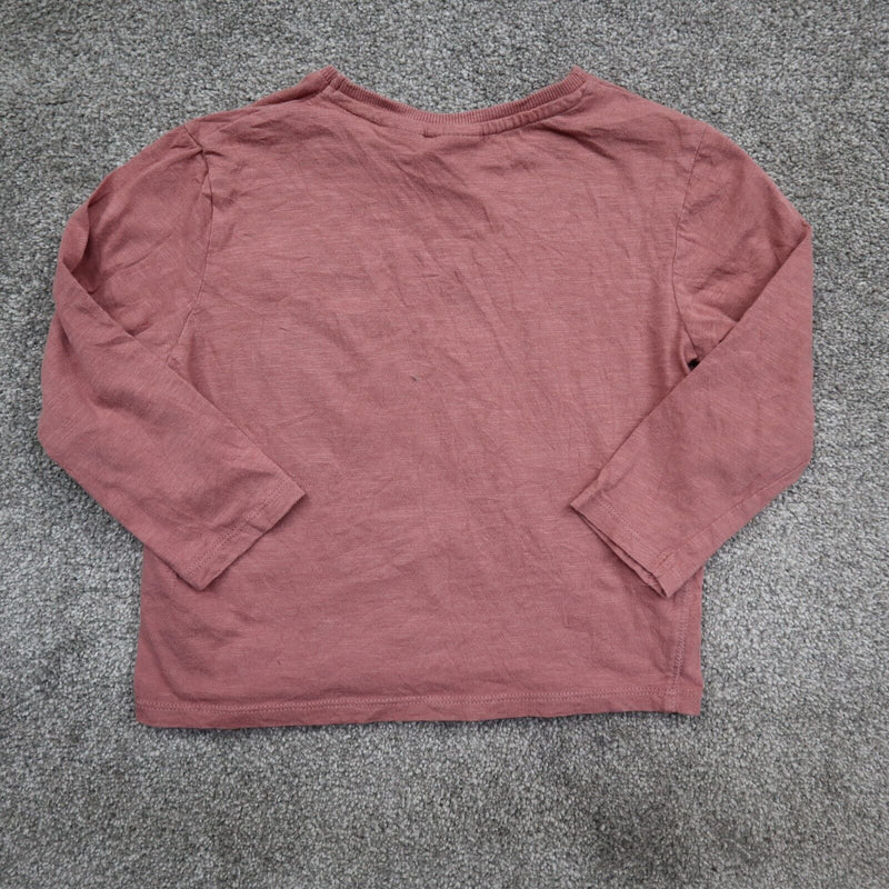 Zara T Shirt Top Girls Size 3-4 Years Faded Pink Solid Long Sleeve Casual Shirt