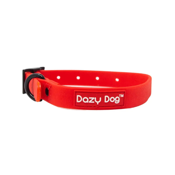 z Dazy Dog Dog Collar Red Extra Large