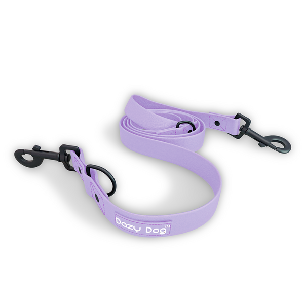 z Dazy Dog Dog Leash Purple Large-Extra Large