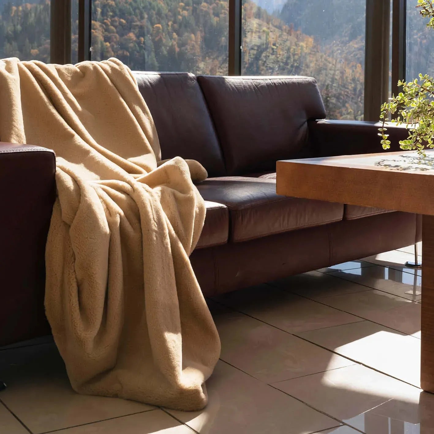 Fur Blanket INSPIRED BY Aurora Desert