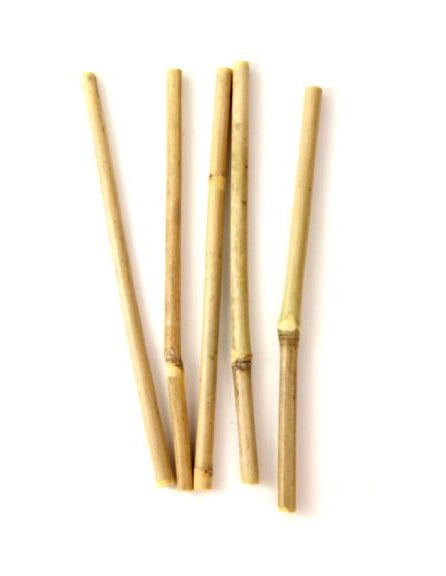 Bamboo Drinking Straws Travel Kit - Gift Pack of 4