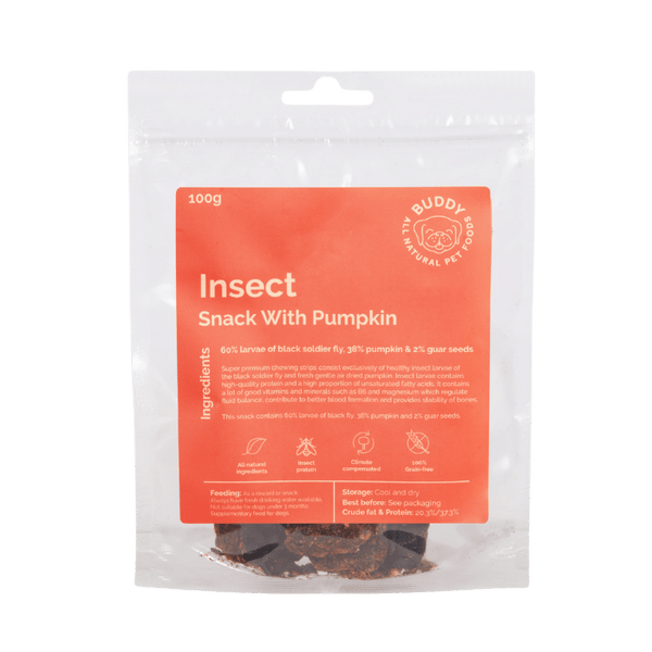 Insect Snack With Pumpkin