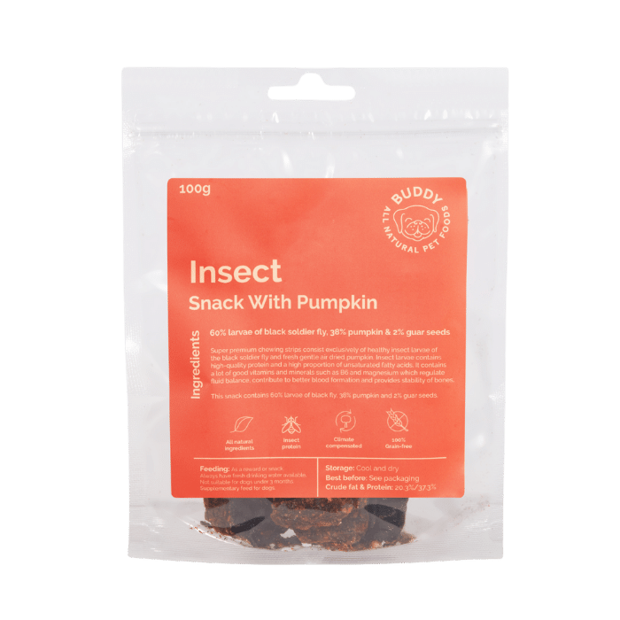 Insect Snack With Pumpkin