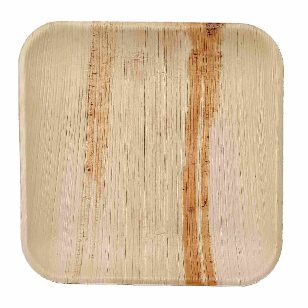 Dtocs Compostable Palm Leaf Plates - 8 Inch Square (Pack 50) | USDA Certified Biobased Compostable Bamboo Look Dinner, Snack Party Plates
