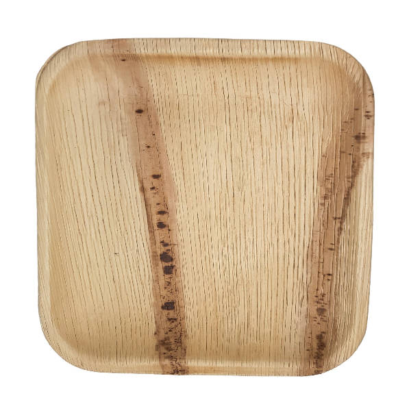 Dtocs Palm Leaf Plates - 7 Inch Square (Pack 50) | Bamboo Plate Like Compostable Disposable Wedding Plates - USDA Certified Biobased