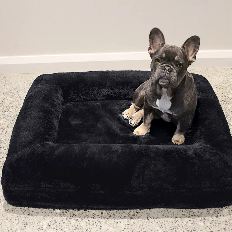 z Dazy Dog Dog Bed Midnight Blue Orthopedic Memory Foam Medium