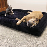 z Dazy Dog Dog Bed Midnight Blue Orthopedic Memory Foam Small