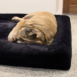 z Dazy Dog Dog Bed Midnight Blue Orthopedic Memory Foam Small