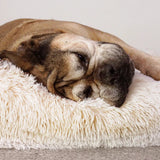 z Dazy Dog Dog Bed Cream Shag Orthopedic Memory Foam Medium