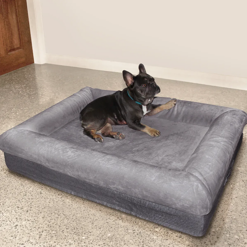 z Dazy Dog Dog Bed Grey Orthopedic Memory Foam Extra Large