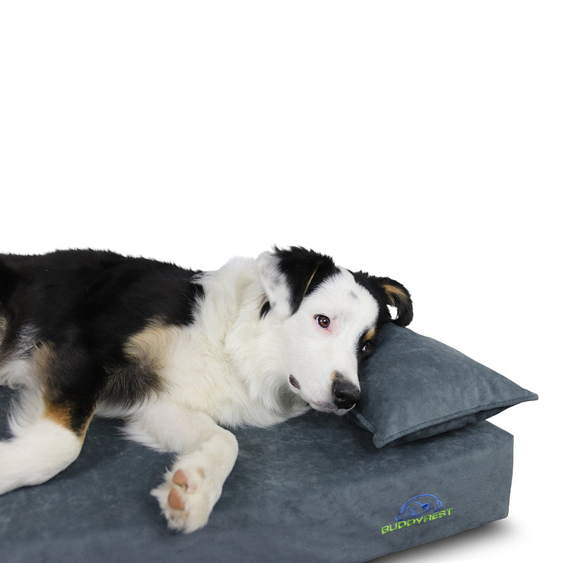 Pawsh Bolster Dog Pillow