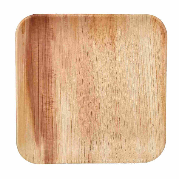 Dtocs Palm Leaf Plates - 10 Inch Square (Pack 50) | Bamboo Plate Like Compostable Disposable Wedding Plates For Dinner, Charcuterie