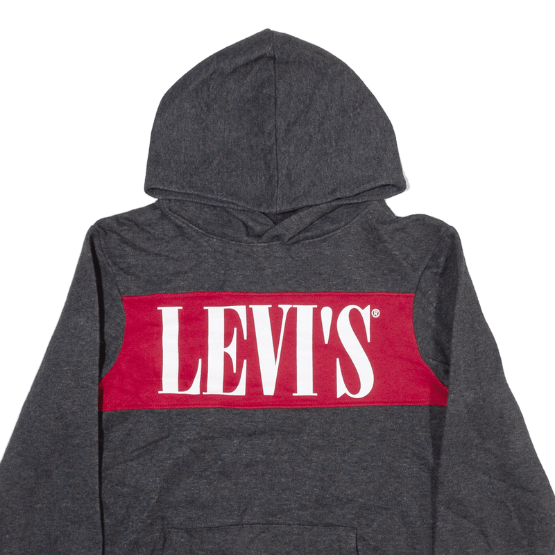 LEVI'S Hoodie Grey Pullover Boys L