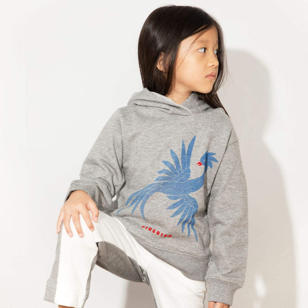 Kids hoodies. 100% organic Peruvian cotton. Super soft and comfortable. Firebird graphic hoodie for cool kids. Unisex.