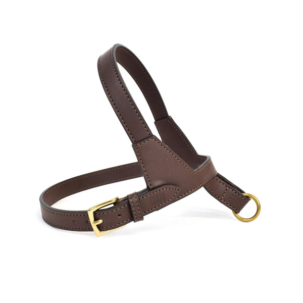 Lucca Apple Leather Harness
