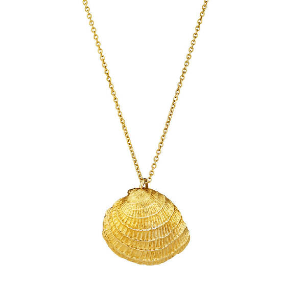 Yellow Gold Plated Clam Shell Necklace