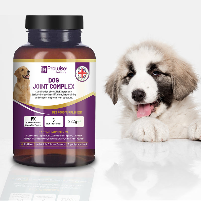 Dog Joint Supplement UK Manufactured I 150 Chicken Flavor Chewable Tablets (5 Months Supply) I Made in the UK