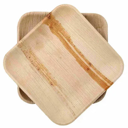 Dtocs Compostable Palm Leaf Plates - 8 Inch Square (Pack 50) | USDA Certified Biobased Compostable Bamboo Look Dinner, Snack Party Plates
