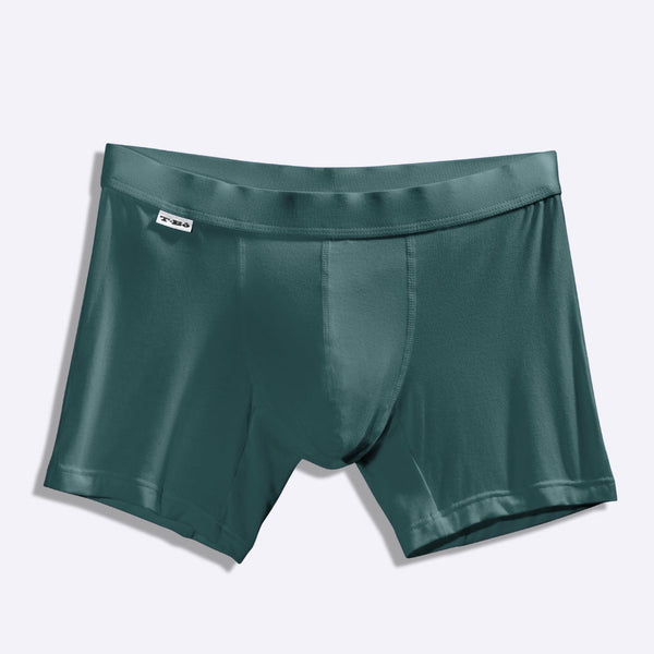 The Dragonfly Boxer Briefs