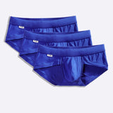 The Surf the Web Blue Brief 3-Pack