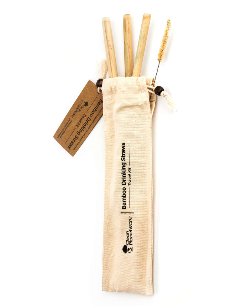 Bamboo Drinking Straws Travel Kit - Gift Pack of 4