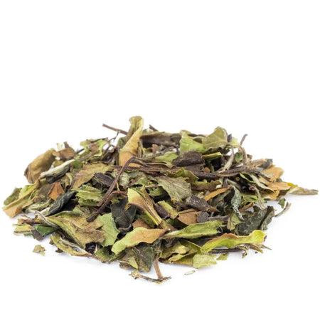 Wild Bai Mu Dan