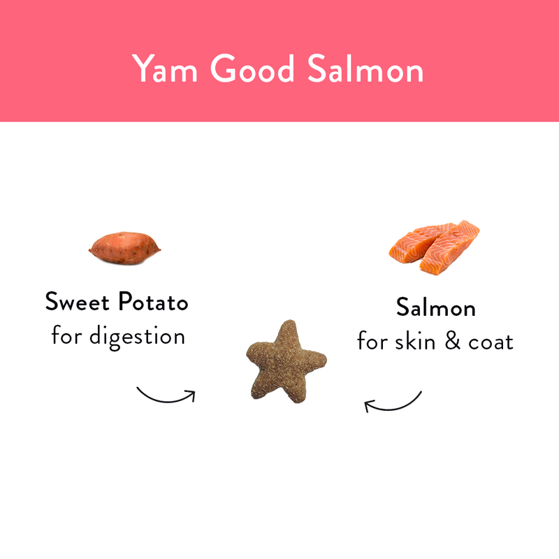 Yam Good Salmon 2-pack