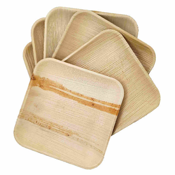 Dtocs Compostable Palm Leaf Plates - 8 Inch Square (Pack 50) | USDA Certified Biobased Compostable Bamboo Look Dinner, Snack Party Plates