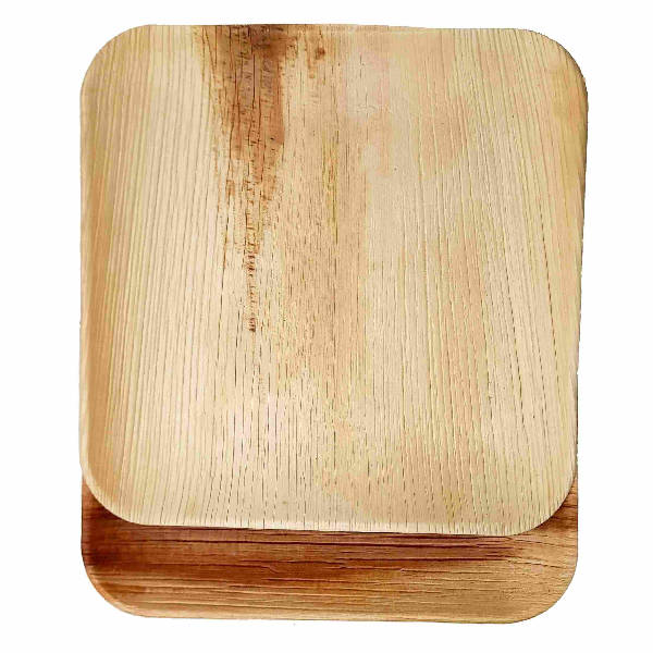 Dtocs Palm Leaf Plates - 10 Inch Square (Pack 50) | Bamboo Plate Like Compostable Disposable Wedding Plates For Dinner, Charcuterie