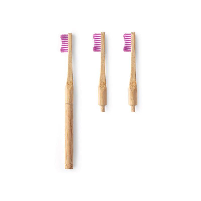 Humble Brush Adult - Replaceable head - Purple
