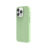 Sage Green iPhone 13 Pro Case