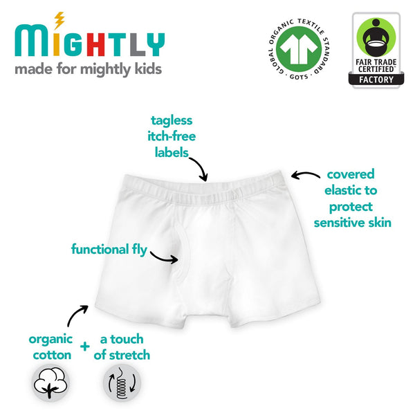 Organic Cotton Kids Boxer Briefs 6-Pack FINAL SALE