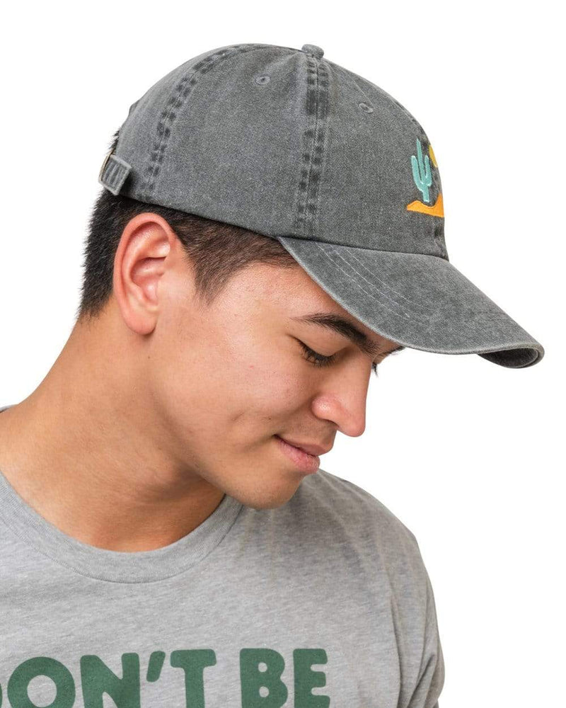 Keep Nature Wild Hat Lone Cactus Dad Hat | Faded Black