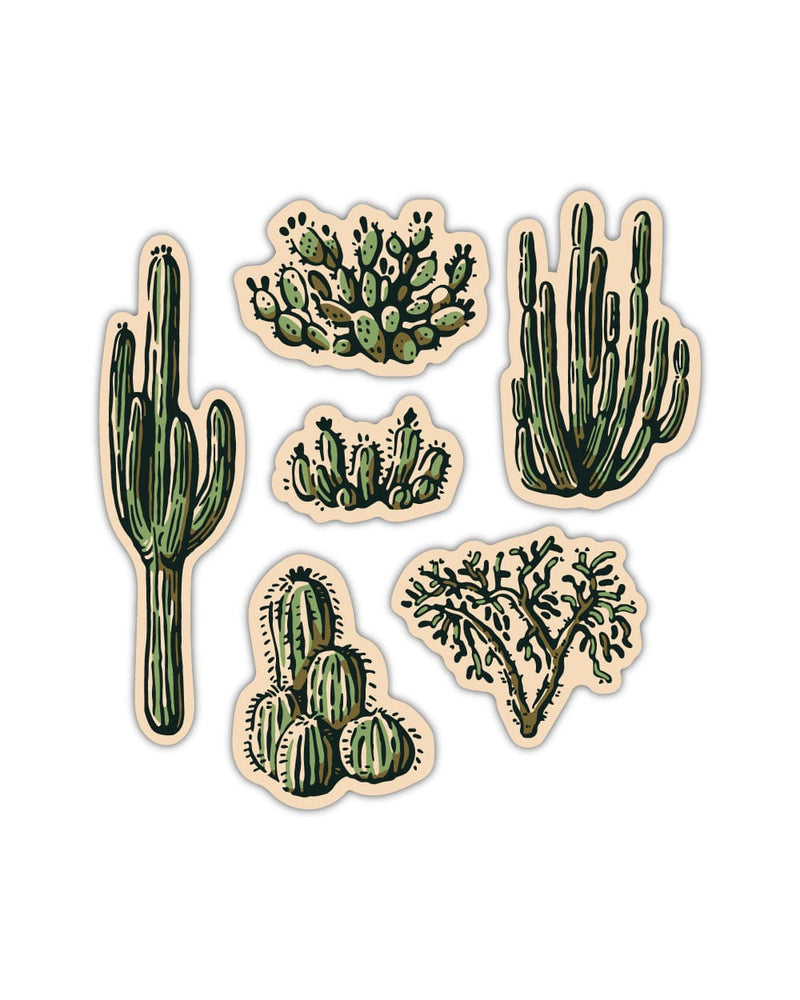 Nature Study Water Bottle Sticker Pack | Cacti