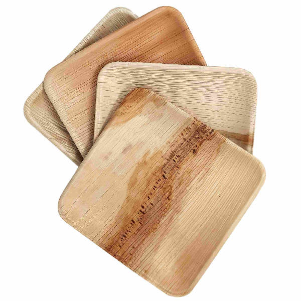 Dtocs Palm Leaf Plates 6 Inch Square (Pack 50) | Bamboo Plate Like Compostable Disposable Wedding Plates For Serving Fruits, Cake, Dessert
