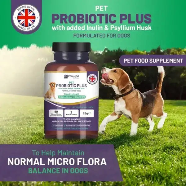 Pet Probiotic Plus with Added Inulin & Psyllium Husk 2 Billion CFU with 5 Active Strains I 60 Chicken Flavour Chewable Tablets 2 Months Supply